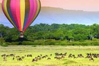 Luxury Travel